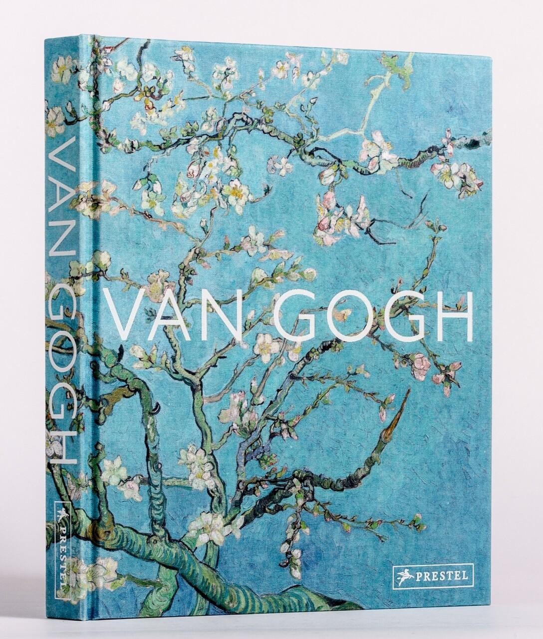 Van Gogh Anne Sefrioui
