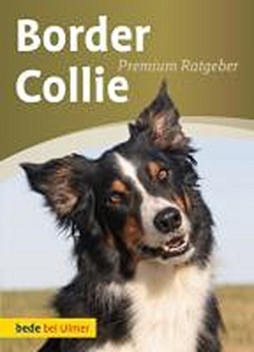 Thumbnail - Border Collie, Annette Schmitt