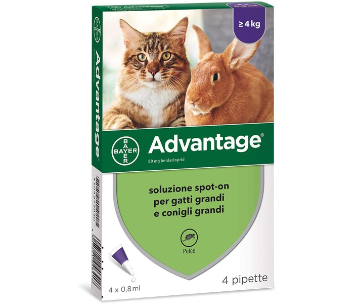 Bayer ADVANTAGE Antipulci Antiparassitario Gatti Conigli Peso superiore KG.4