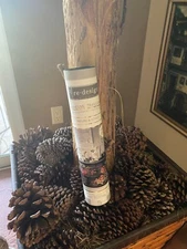 Re-Design with Prima NATURE & SCRIPTS Transfer