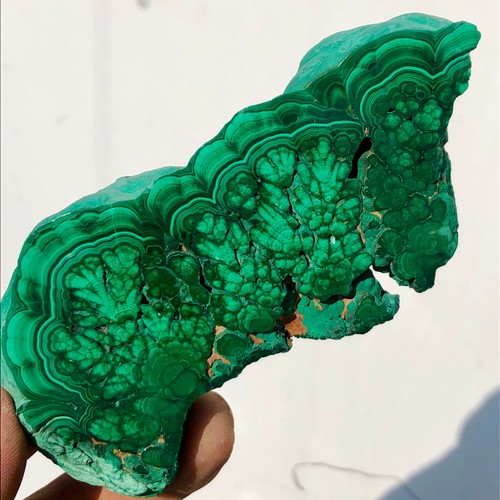 232g Natural high-end peacock stone slices polished specimens spiritual healing