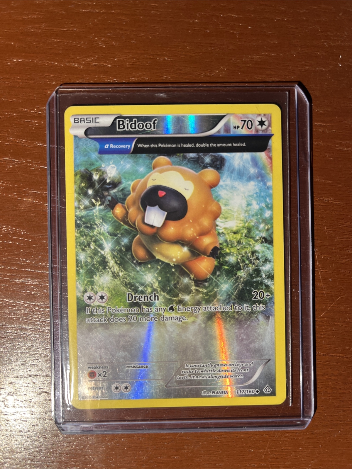 Pokémon TCG Bidoof Primal Clash 117/160 Reverse Holo eBay