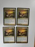 MtG Captured Sunlight NM/LP x4 - Shards of Alara