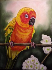Sun Conure parrot Art Print