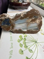 A Cut and Polished Thunderegg  