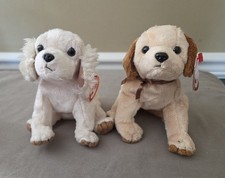 LAPTOP & BADGES the Dogs ~ Ty Beanie Babies ~ NWT