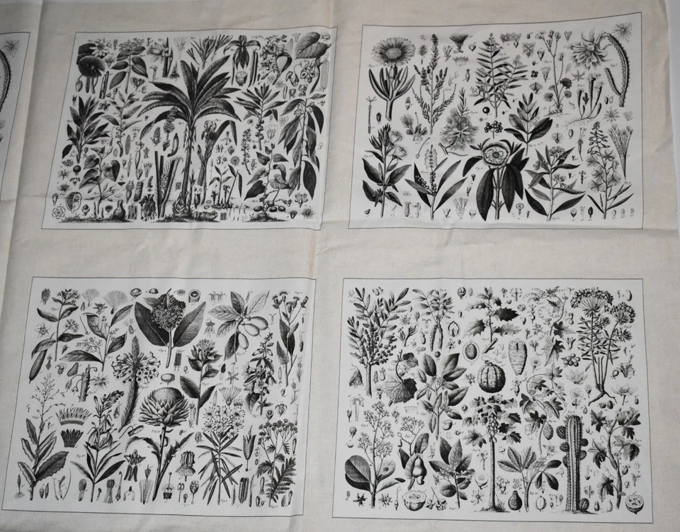 Ткани Andover хлопчатобумажная ткань панель с цветочным рисунком ботанические лоскутные одеяла блоки трудно найти больше не издающиеся - Изображение 3 из 4