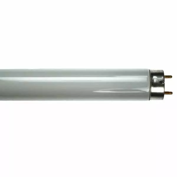 FLUORESCENT TUBE F58W 835 5FT T8 58W 835 5 FOOT LONG