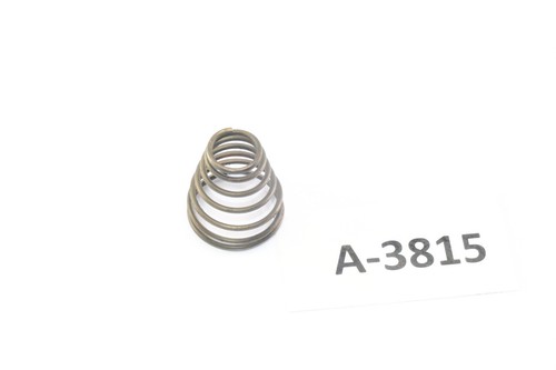 BMW R 24 25 26 27 - Entlüfterfeder Motor A3816