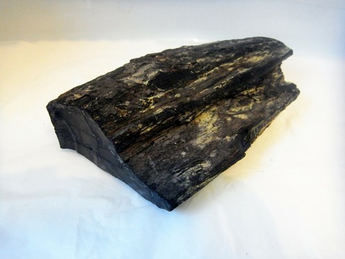 ULTRA RARE HUGE WHITBY JET SPECIMEN NATURAL FOSSIL  MINERAL 429g 150mm st17  - Picture 2 of 5