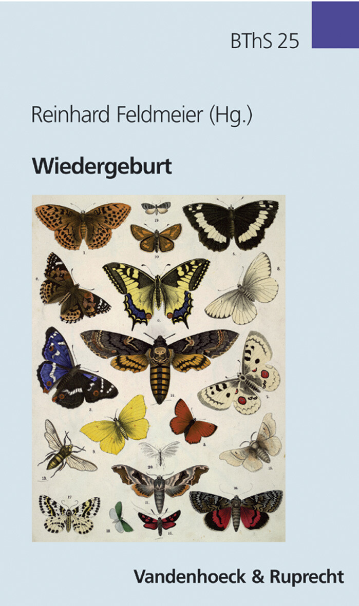 Thumbnail - Reinhard Feldmeier / Wiedergeburt