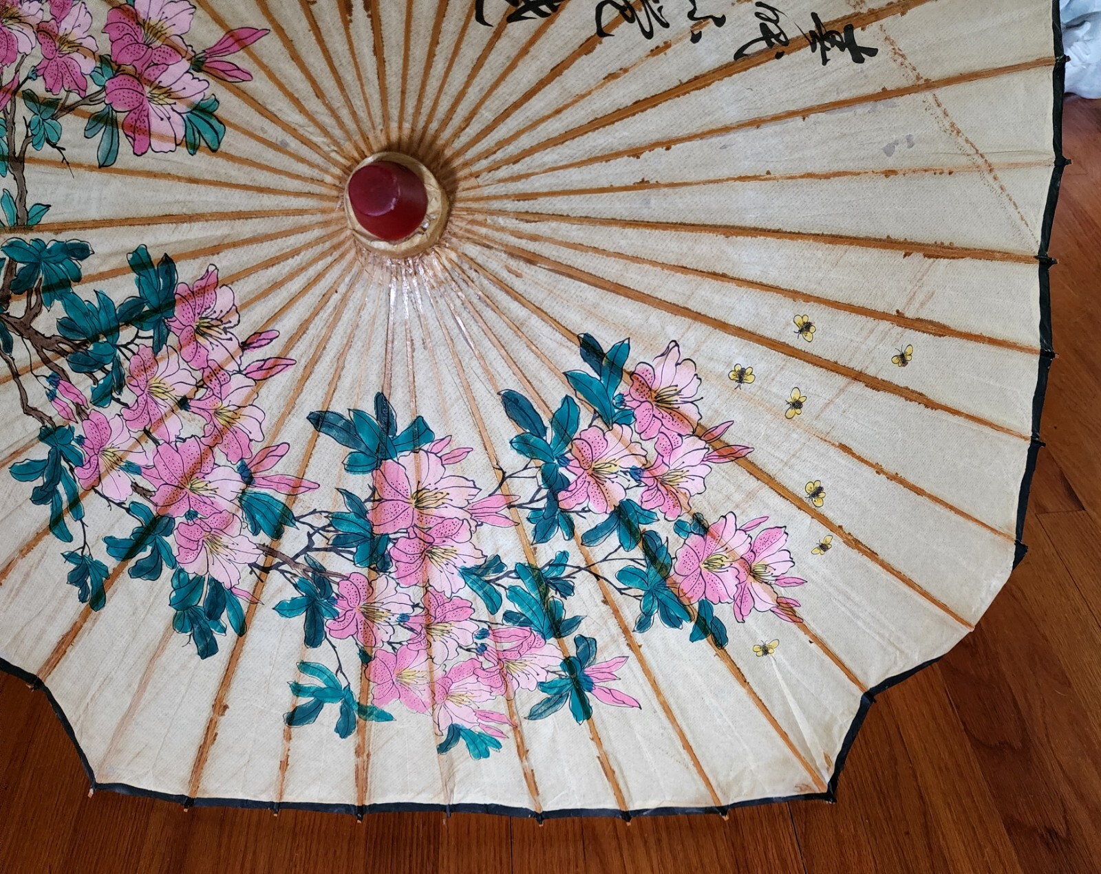 Picture 12 of 24