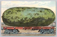 Postcard California Oversized Watermelon on Train/Flat Car Exaggerated  c1910