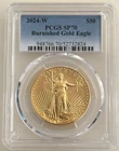 2024-W $50 Burnished American Gold Eagle PCGS SP70 1 Oz Coin - Key Date