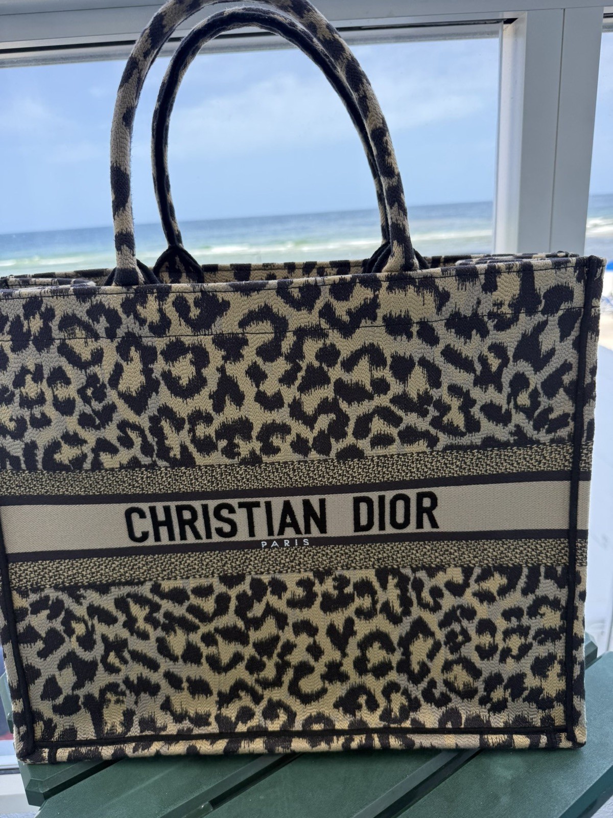 Christian Dior Mizza Leopard Embroidered Canvas Book Tote Bag