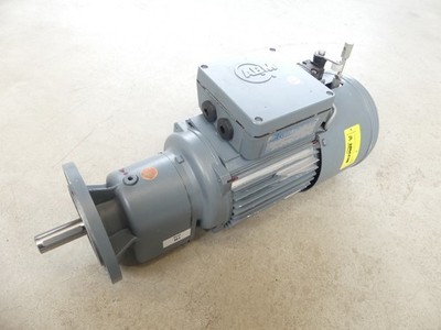 ABM Greiffenberger ZBF12NHR-S0 / G80F / 4D808-4 Getriebemotor SN: 191378798