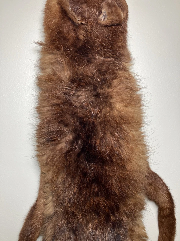 "Bufanda envolvente vintage de piel de visón real con estola cabeza cuerpo piernas pies cola marrón 51"" de largo" Foto 3 de 4