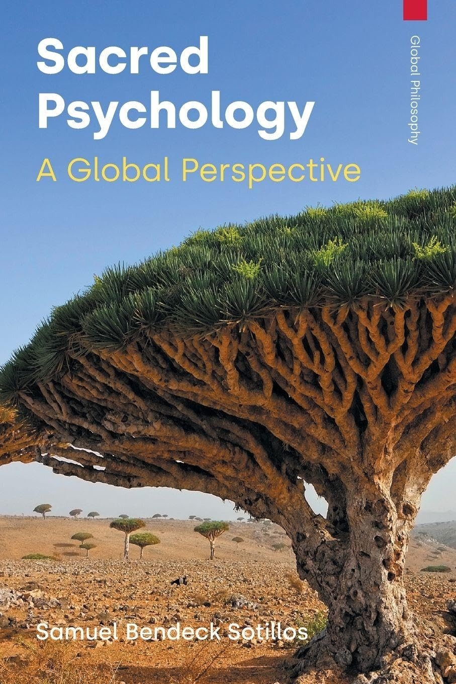 Sacred Psychology by Samuel Bendeck Sotillos - 9781800505742 - Image 5