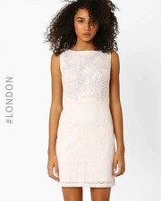 NWT Zibi London Shift Dress Tapework Embroidered Bodice Occasion UK 8 Blush Pink