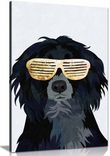 Hiphop Cockerspaniel Framed Canvas Print, Pictures for Home Walls Decor