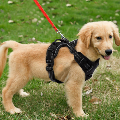 Hundegeschirr Anti Zug Geschirr No Pull Sicherheitsgeschirr Brustgeschirr Dog DE