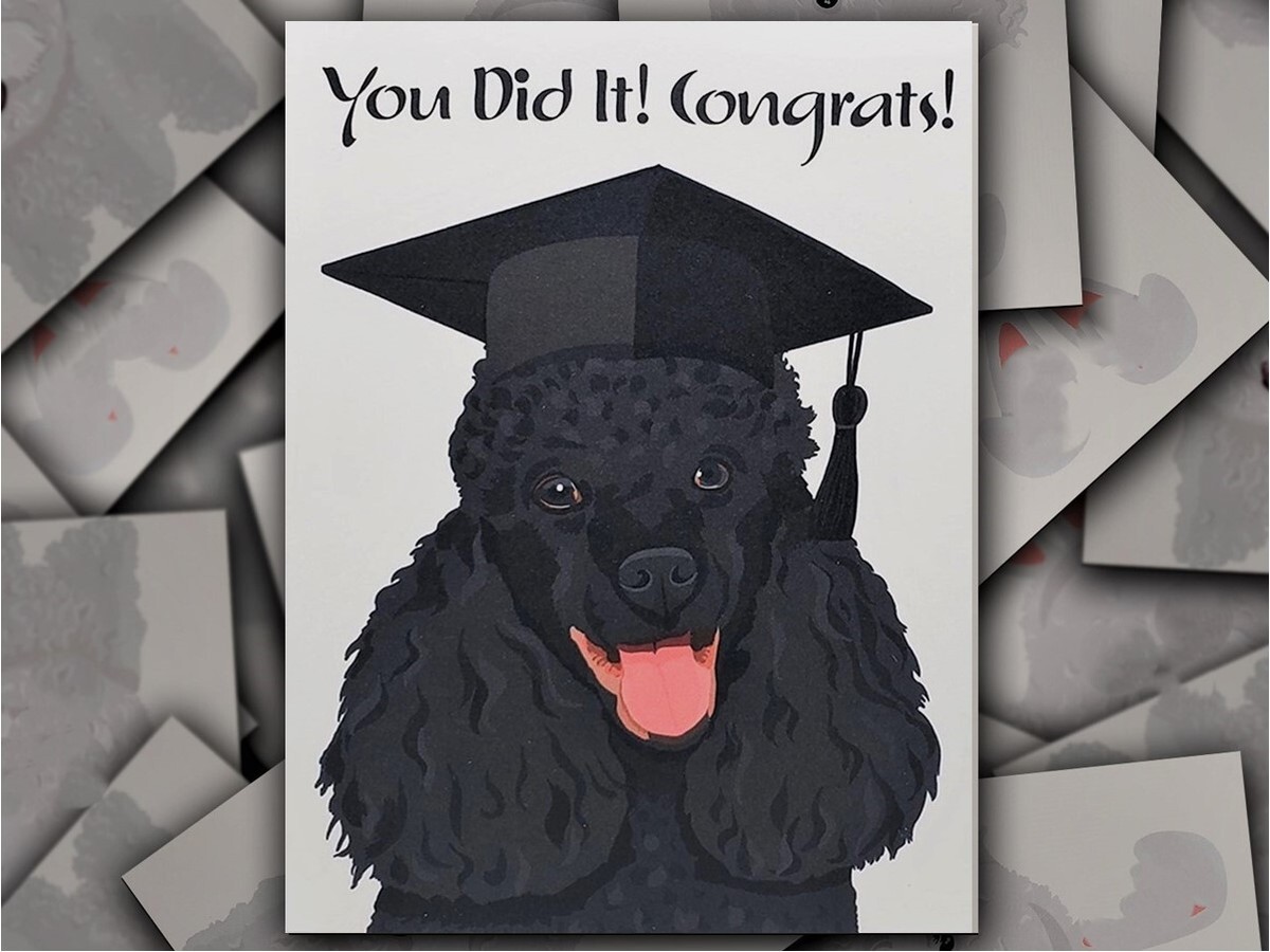 Black Poodle Dog Hand-Drawn Congrats on Graduation Card with