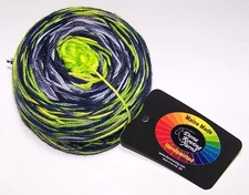 4oz Done Roving FROLICKING FEET TRANSITIONS HandPainted Merino Yarn TEAM TIME 2