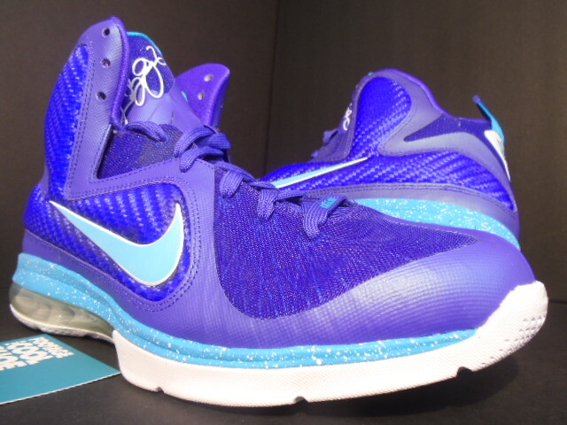 lebron 9 purple