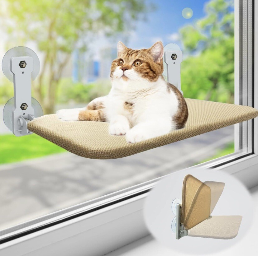 Cat Window Frame Description - Infoupdate.org