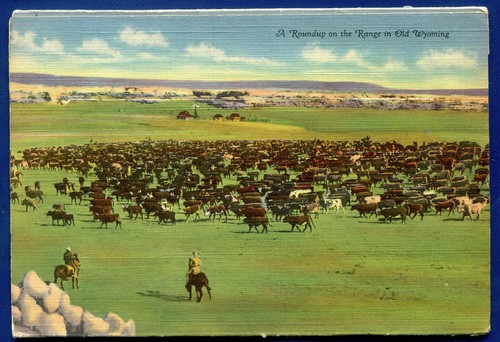 Lincoln Highway in Wyoming Tree Rock Sherman Hill Postcard Folder PF842 - Picture 2 of 2