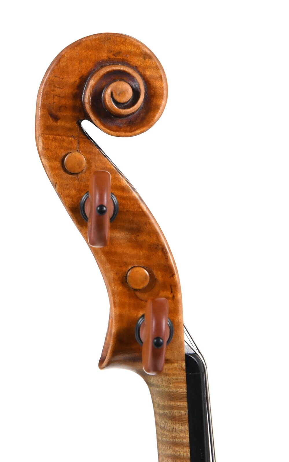 Italian violin by Giuseppe Gagliano, circa 178x certified financial