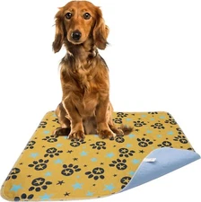Washable Pee Pads for Dogs Training Pads - Yellow Star Prints
