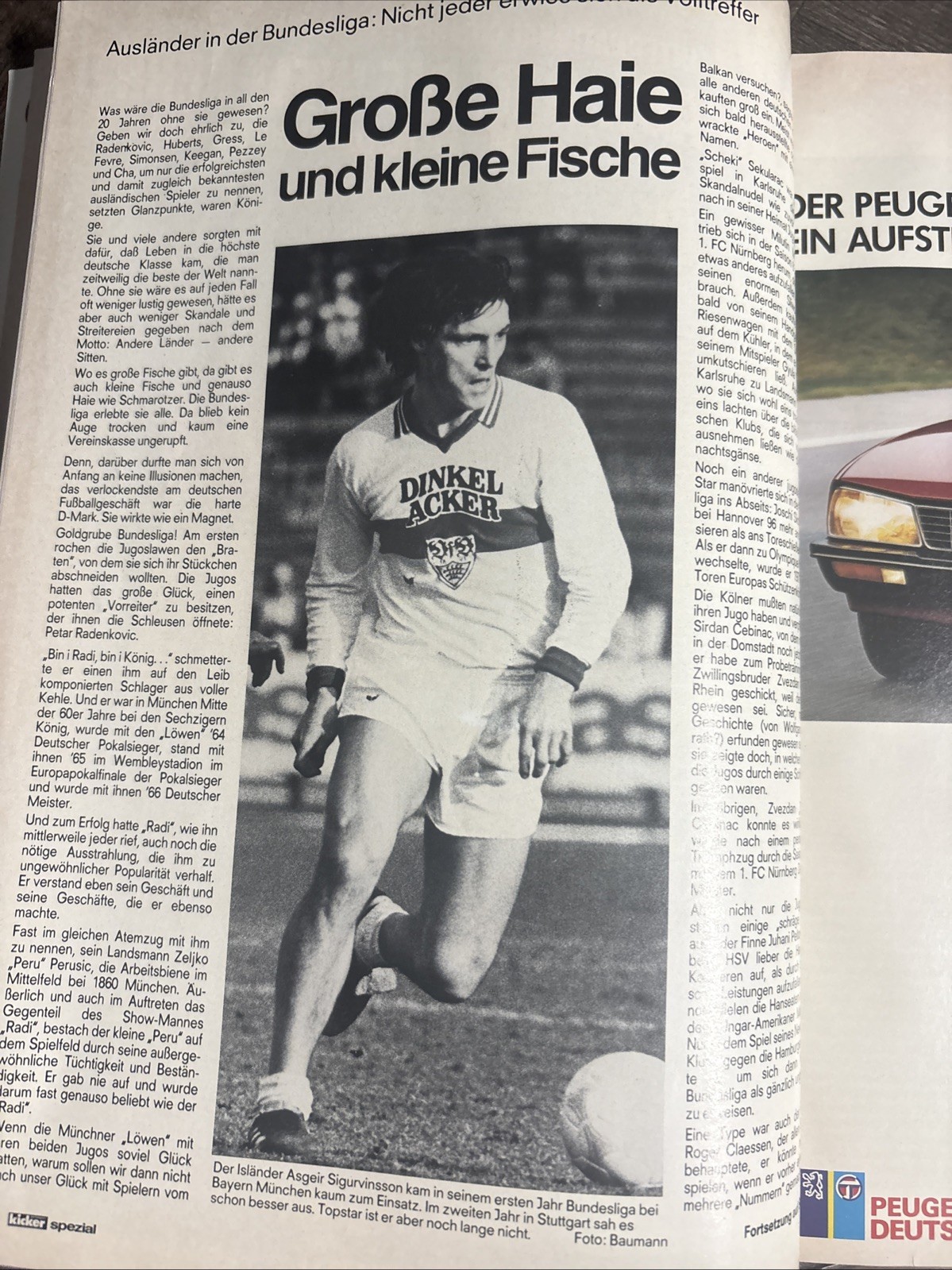 Bild 14 von 16