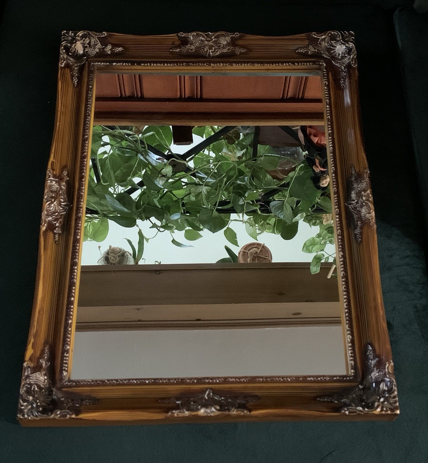 Picture 23 of 24