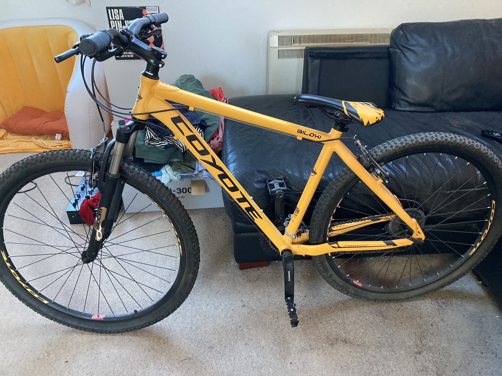 Mountain Bike eBay