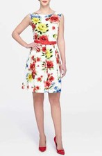 Tahari Asl Belted Floral-Print Fit & Flare Dress (size 10)