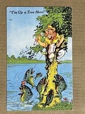 Postcard Comic Humor Fishing Exaggeration Cartoon Up A Tree Posted Sayner WI
