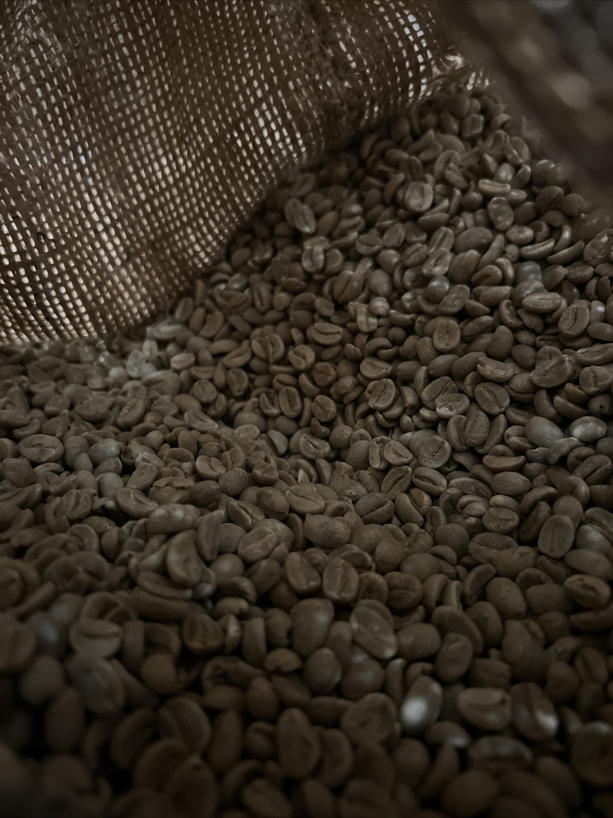 4 LBS HIGH ALTITUDE PERUVIAN PERU UNROASTED GREEN COFFEE BEANS - ORGANIC Arabica