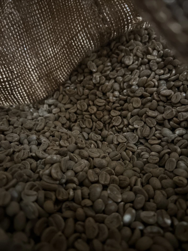 4 ФУНТА ВЫСОТНЫХ ПЕРУАНСКИХ НЕОБЖАРЕННЫХ ЗЕЛЕНЫХ КОФЕЙНЫХ ЗЕРЕН ПЕРУ - ОРГАНИЧЕСКАЯ арабика - Изображение 3 из 3