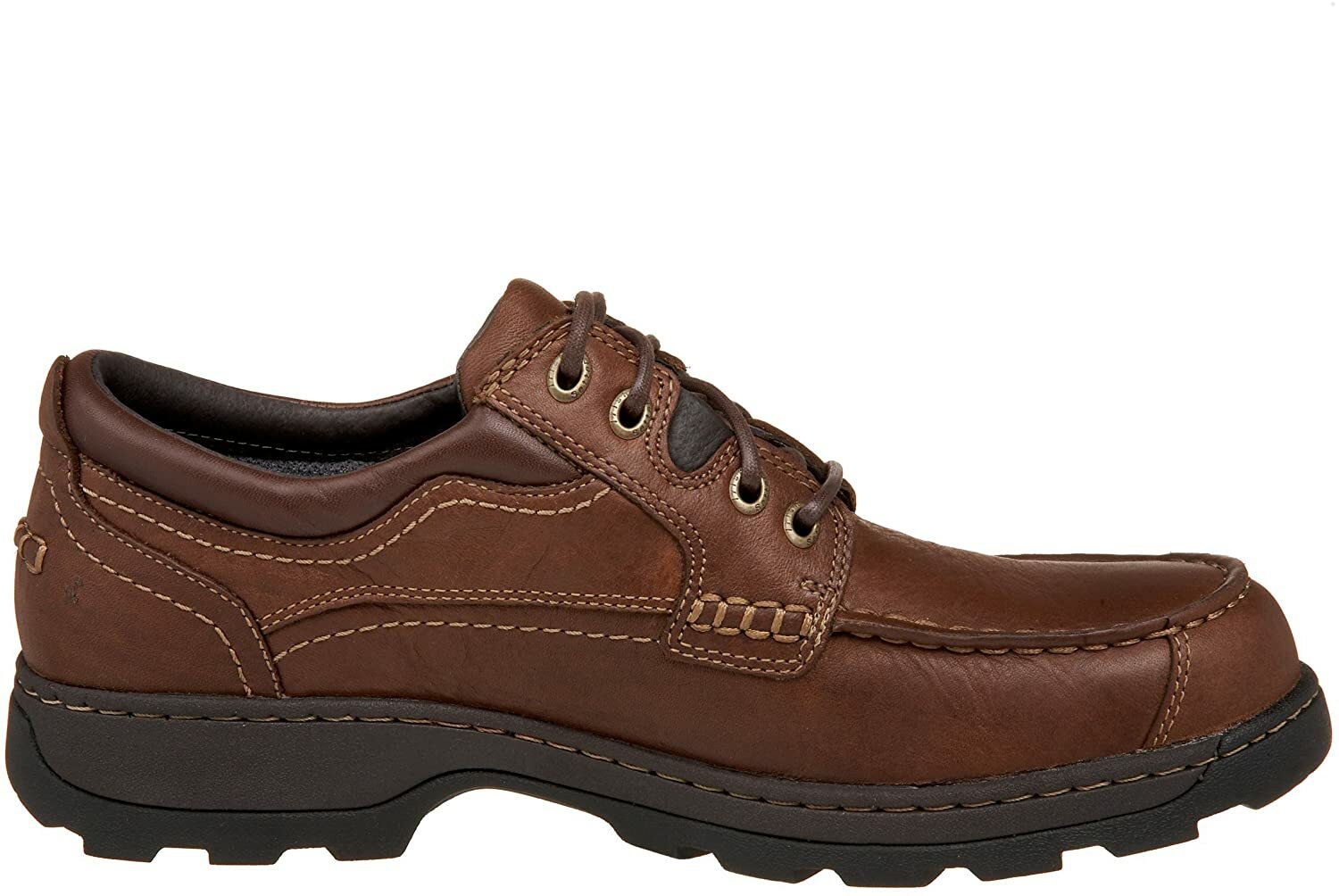 irish setter 3874
