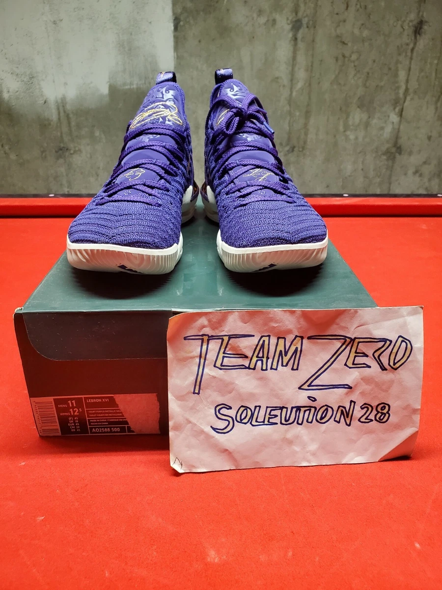 Lebron 16 deals court purple