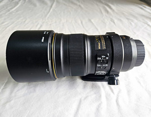 Nikon AF-S NIKKOR 300mm f/4E PF ED VR + Nikon RT-1 Collar + 77mm UV Filter