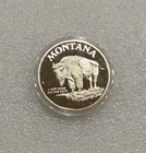 Vintage 1989 Montana Buffalo & Indian 1 oz .999 Silver Round