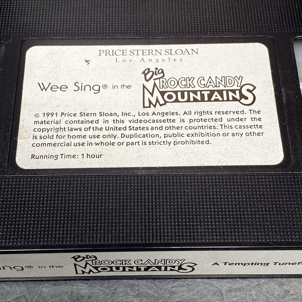 Wee Sing In The Big Wee Sing in Big Rock Candy Mountains VHS 1991