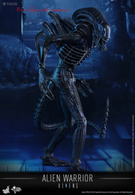 Perfect Hot Toys 1/6 Mms354 Aliens Alien Warrior In Stock New | eBay