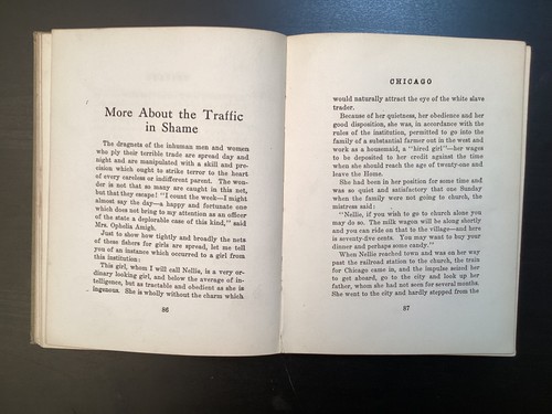 Chicago and Its Cess-Pools of Infamy- Samuel Paynter Wilson HC Boook - Picture 12 of 23
