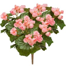 OakRidge  Pink Begonia Bush Set of 3