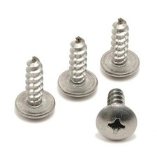 Replacement Screws Stainless License Plate Screws - Front or Rea Color: Silver