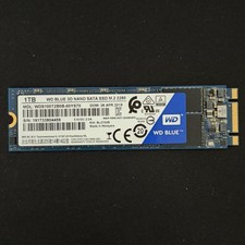 Western Digital WD Blue 1TB SATA M.2 2280 SSD WDS100T2B0B 100% Health