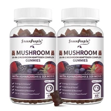 Mushroom Extract Complex Gummies Lions Mane Chaga Reishi Focus Memory Immunity